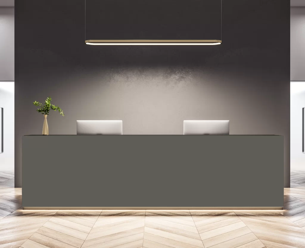 Decorlux_Tableros_MDF_1800__Acrilico_Top_Matt_Mate_Grey_Recepcion